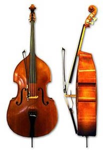 Upper Perkiomen Bass 6 Month Introductory Rental including Lesson Book 